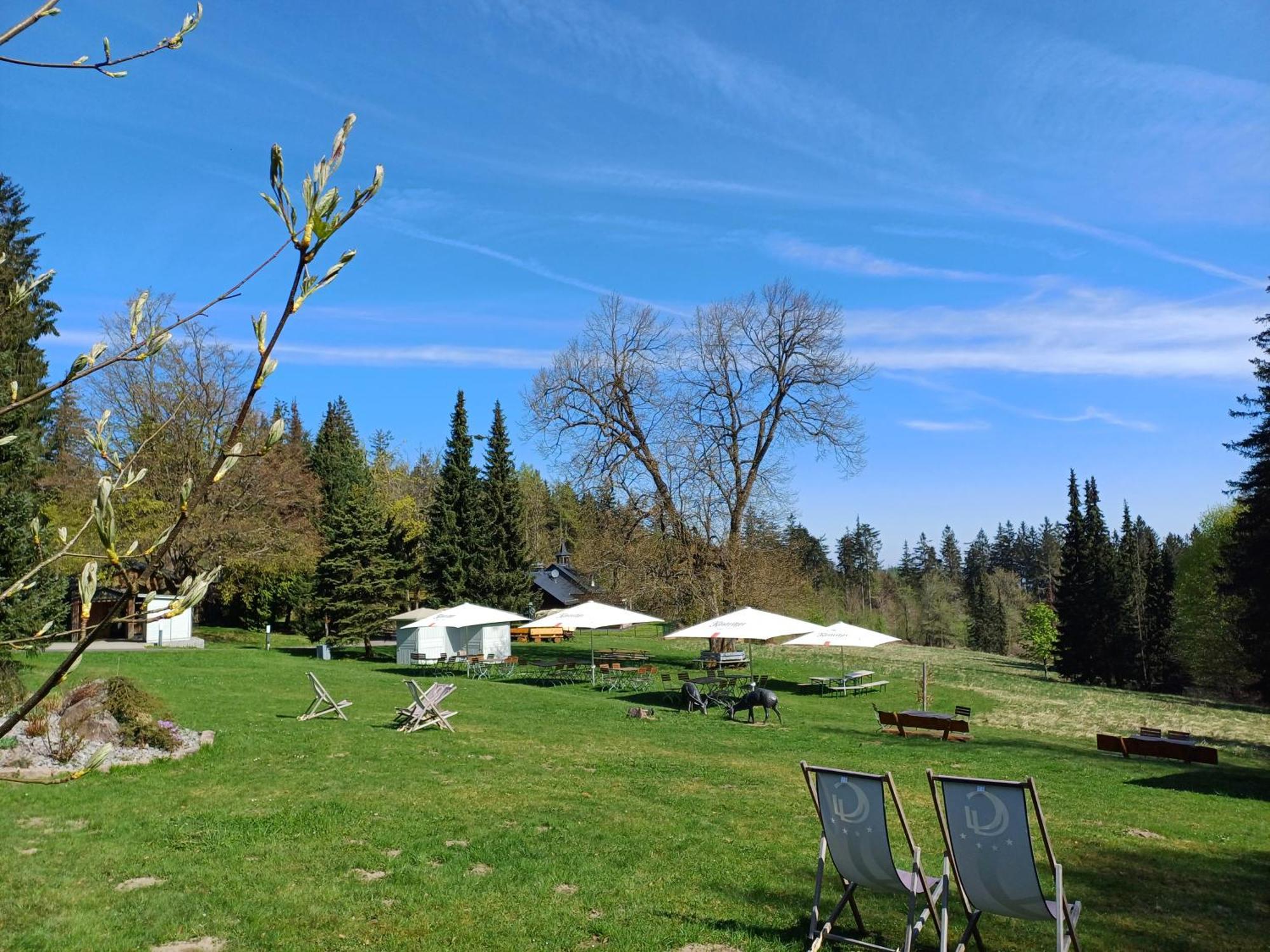 Berg & Spa Hotel Gabelbach Ilmenau Bagian luar foto